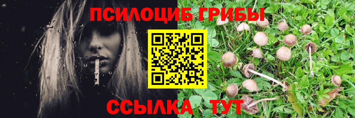 Галлюциногенные грибы прущие грибы  Вход с VPN  Ставрополь  цена наркотик  Псилоцибиновые грибы ЛСД 